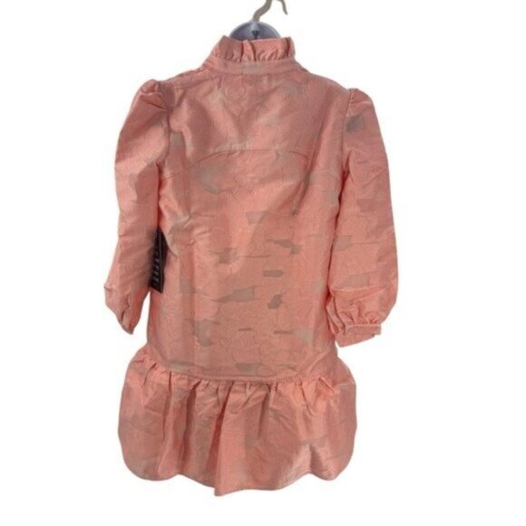 Tuckernuck NEW Bellini Fil Coupe Pink Drop Waist Long Sleeve Palmerston Dress L - Picture 7 of 11